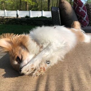 Meet your Posher, Margot